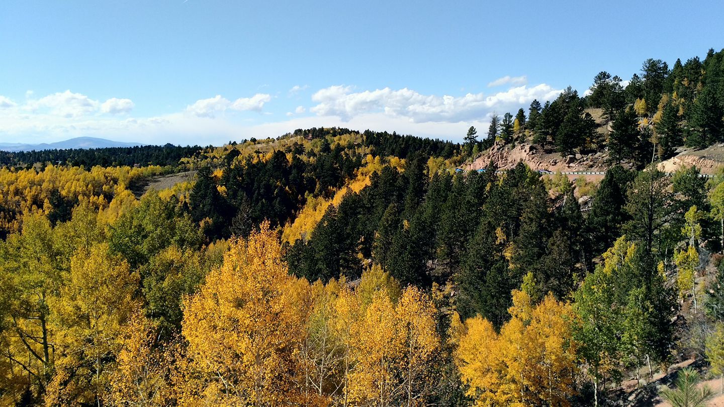 Fall overlook